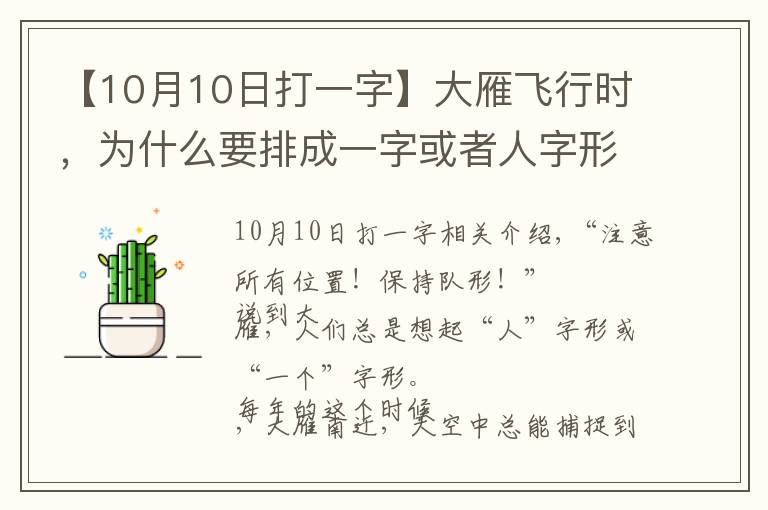 【10月10日打一字】大雁飛行時，為什么要排成一字或者人字形？可不是為了整齊好看…