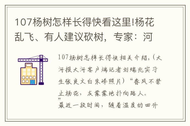 107楊樹怎樣長得快看這里!楊花亂飛、有人建議砍樹，專家：河南樹木八成是楊樹、不能貿(mào)然砍