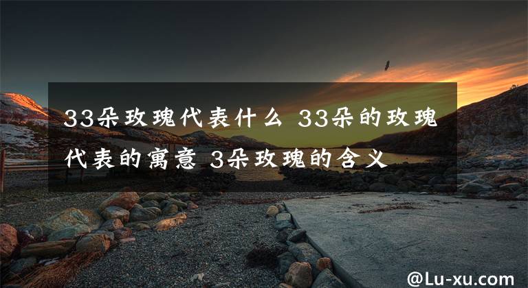 33朵玫瑰代表什么 33朵的玫瑰代表的寓意 3朵玫瑰的含義