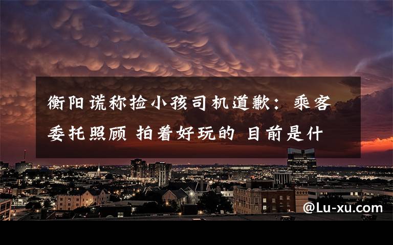 衡陽謊稱撿小孩司機道歉：乘客委托照顧 拍著好玩的 目前是什么情況？