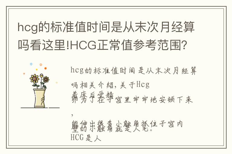 hcg的標(biāo)準(zhǔn)值時(shí)間是從末次月經(jīng)算嗎看這里!HCG正常值參考范圍？血HCG與尿HCG有什么不同呢？