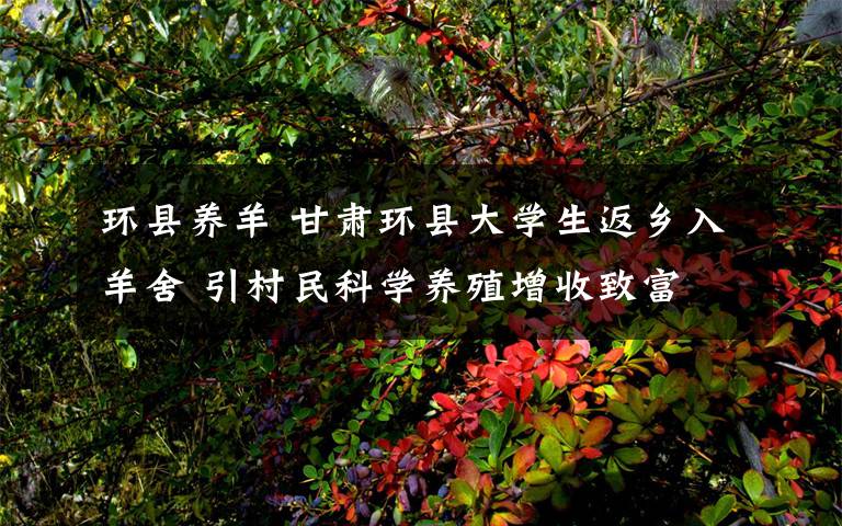 環(huán)縣養(yǎng)羊 甘肅環(huán)縣大學(xué)生返鄉(xiāng)入羊舍 引村民科學(xué)養(yǎng)殖增收致富