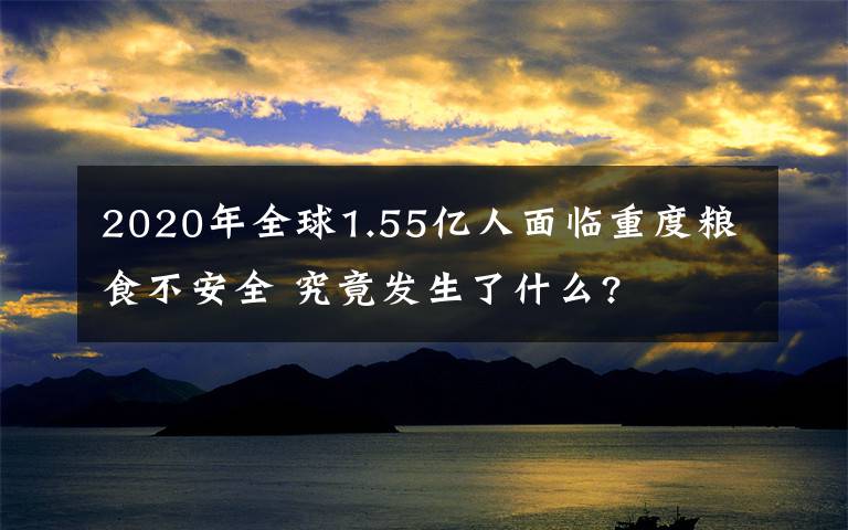 2020年全球1.55億人面臨重度糧食不安全 究竟發(fā)生了什么?