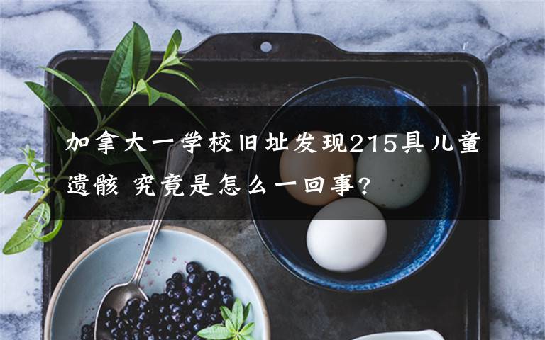 加拿大一學(xué)校舊址發(fā)現(xiàn)215具兒童遺骸 究竟是怎么一回事?