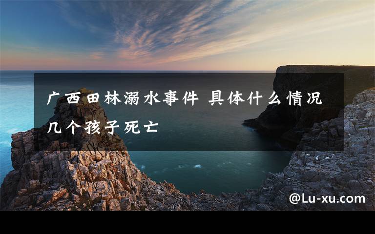 廣西田林溺水事件 具體什么情況幾個(gè)孩子死亡