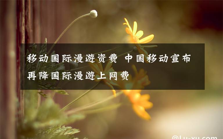 移動國際漫游資費(fèi) 中國移動宣布再降國際漫游上網(wǎng)費(fèi)