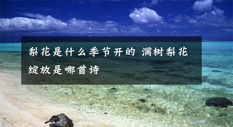 梨花是什么季節(jié)開(kāi)的 滿(mǎn)樹(shù)梨花綻放是哪首詩(shī)