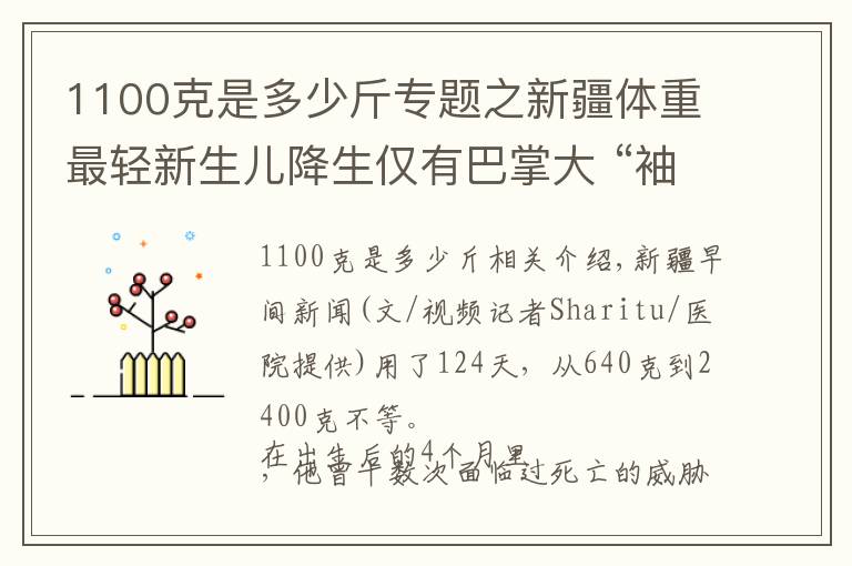 1100克是多少斤專題之新疆體重最輕新生兒降生僅有巴掌大 “袖珍寶寶”體重640克