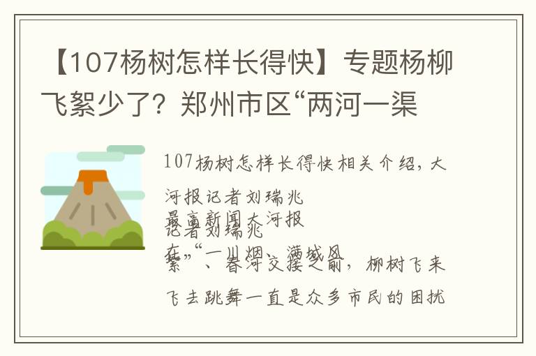 【107楊樹怎樣長(zhǎng)得快】專題楊柳飛絮少了？鄭州市區(qū)“兩河一渠”楊柳樹雌株實(shí)現(xiàn)100%防治