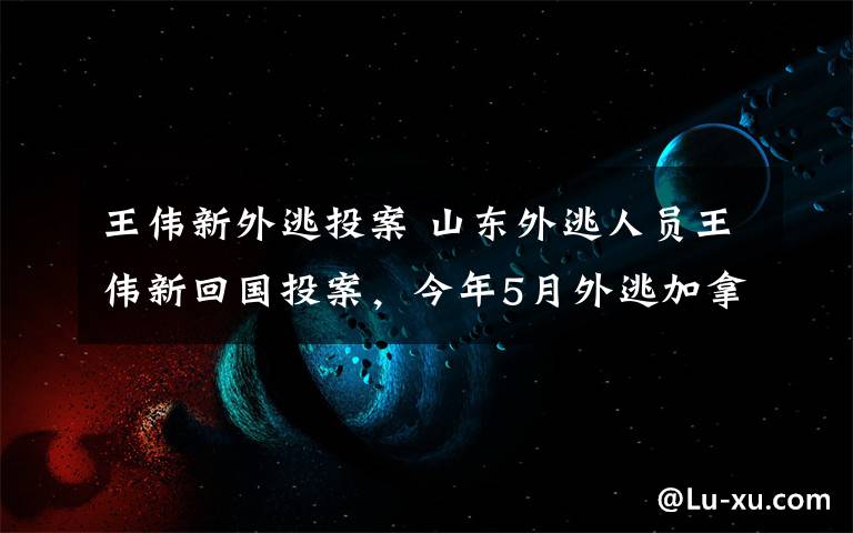 王偉新外逃投案 山東外逃人員王偉新回國投案，今年5月外逃加拿大