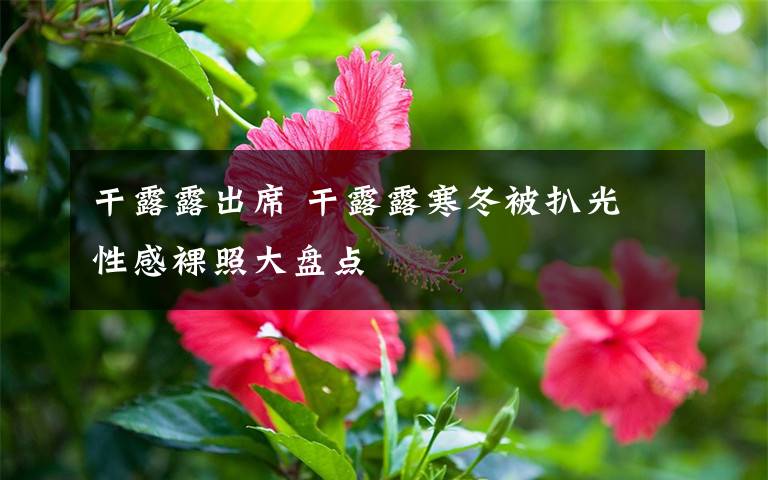 干露露出席 干露露寒冬被扒光 性感裸照大盤(pán)點(diǎn)