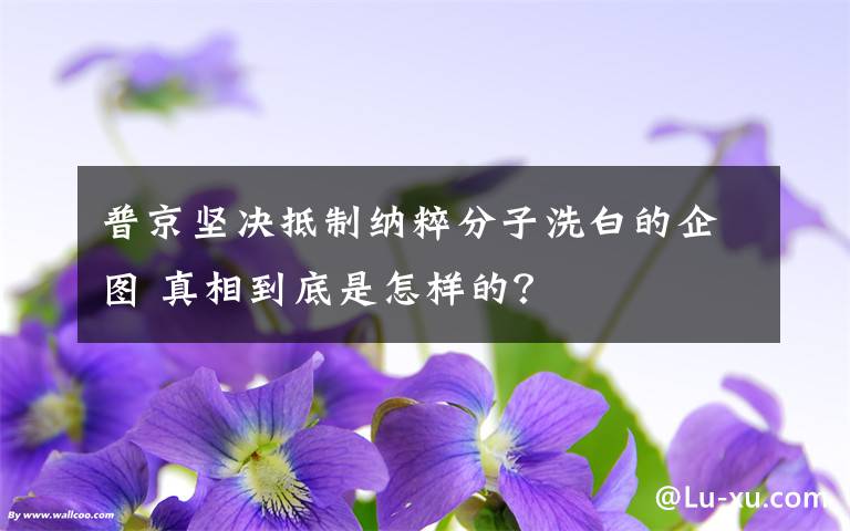 普京堅決抵制納粹分子洗白的企圖 真相到底是怎樣的？