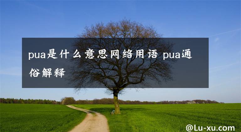 pua是什么意思網(wǎng)絡(luò)用語 pua通俗解釋