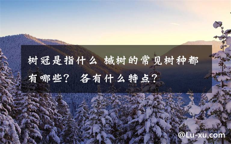 樹冠是指什么 槭樹的常見樹種都有哪些？ 各有什么特點(diǎn)？