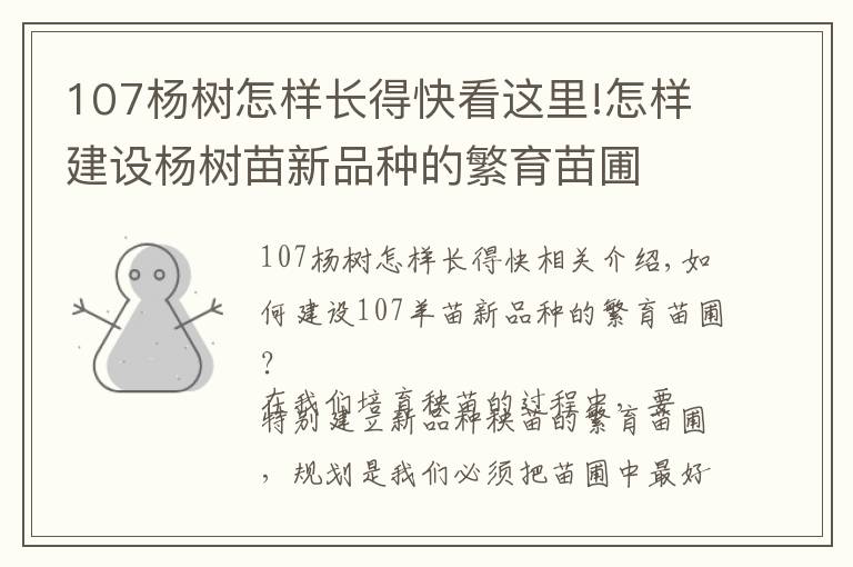 107楊樹怎樣長得快看這里!怎樣建設(shè)楊樹苗新品種的繁育苗圃