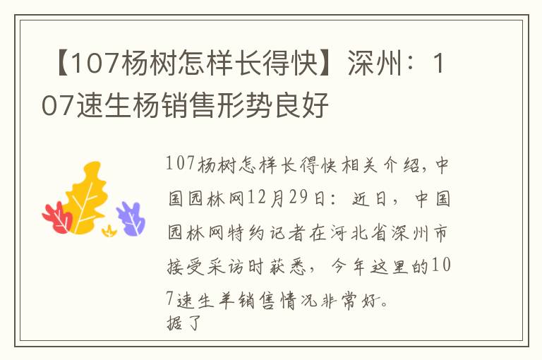 【107楊樹(shù)怎樣長(zhǎng)得快】深州：107速生楊銷售形勢(shì)良好