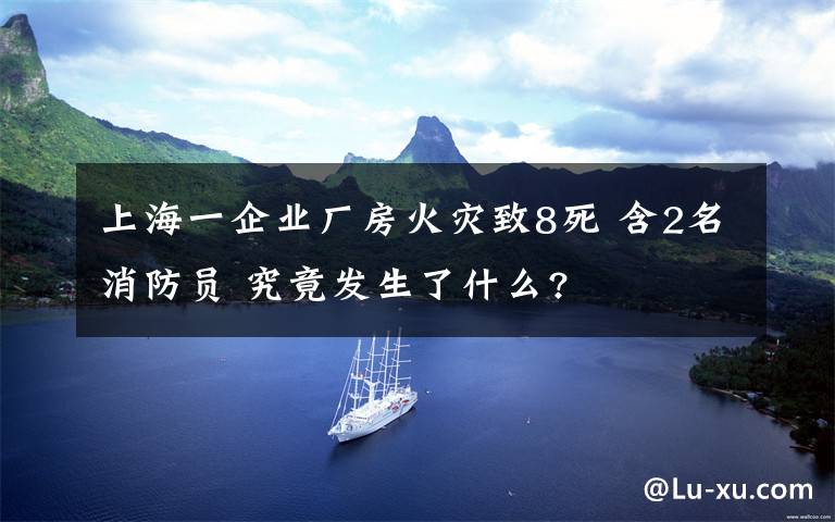 上海一企業(yè)廠房火災(zāi)致8死 含2名消防員 究竟發(fā)生了什么?