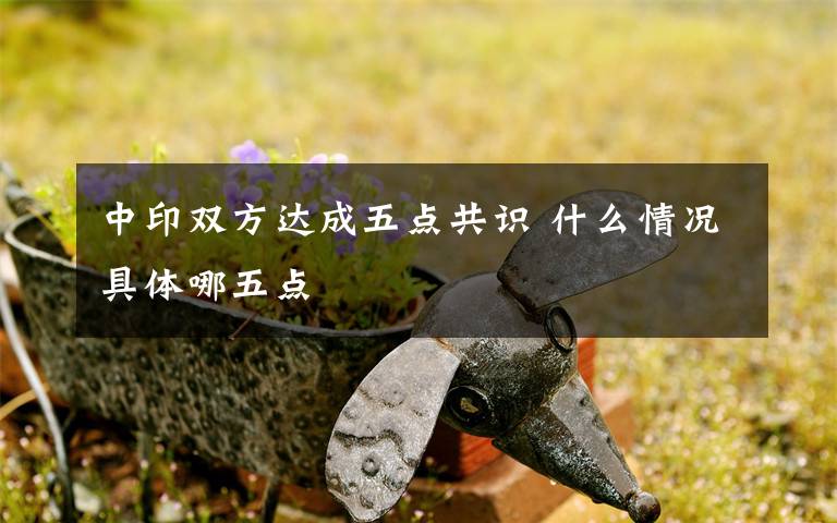 中印雙方達(dá)成五點(diǎn)共識(shí) 什么情況具體哪五點(diǎn)