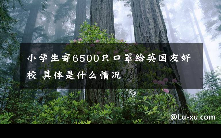 小學(xué)生寄6500只口罩給英國(guó)友好校 具體是什么情況