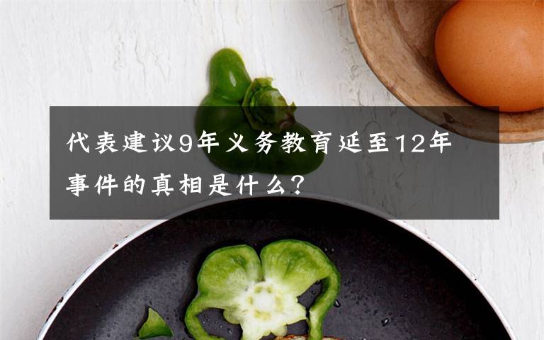 代表建議9年義務(wù)教育延至12年 事件的真相是什么？