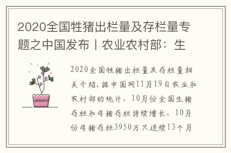 2020全國(guó)牲豬出欄量及存欄量專題之中國(guó)發(fā)布丨農(nóng)業(yè)農(nóng)村部：生豬存欄3.87億頭 明年二季度將恢復(fù)到正常年份水平