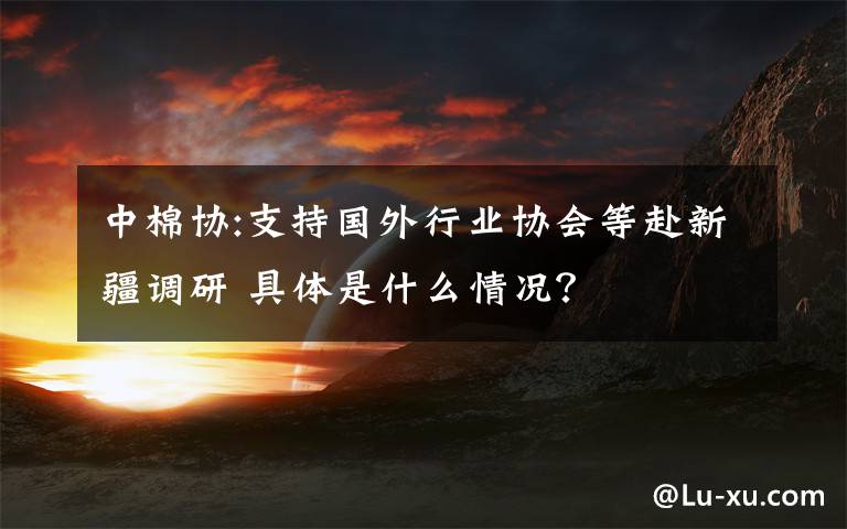 中棉協(xié):支持國(guó)外行業(yè)協(xié)會(huì)等赴新疆調(diào)研 具體是什么情況？