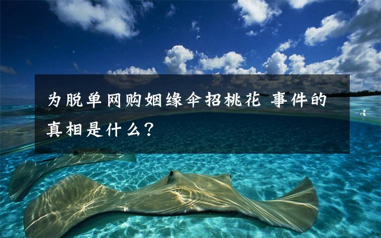 為脫單網(wǎng)購(gòu)姻緣傘招桃花 事件的真相是什么？