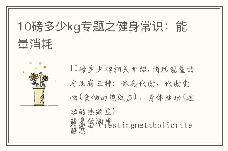 10磅多少kg專題之健身常識(shí)：能量消耗