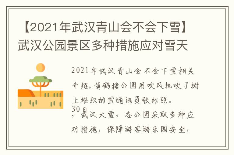 【2021年武漢青山會(huì)不會(huì)下雪】武漢公園景區(qū)多種措施應(yīng)對(duì)雪天：吹風(fēng)機(jī)吹樹葉、給化石開暖氣