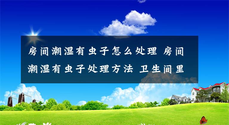 房間潮濕有蟲子怎么處理 房間潮濕有蟲子處理方法 衛(wèi)生間里潮濕有爬的蟲子怎么辦