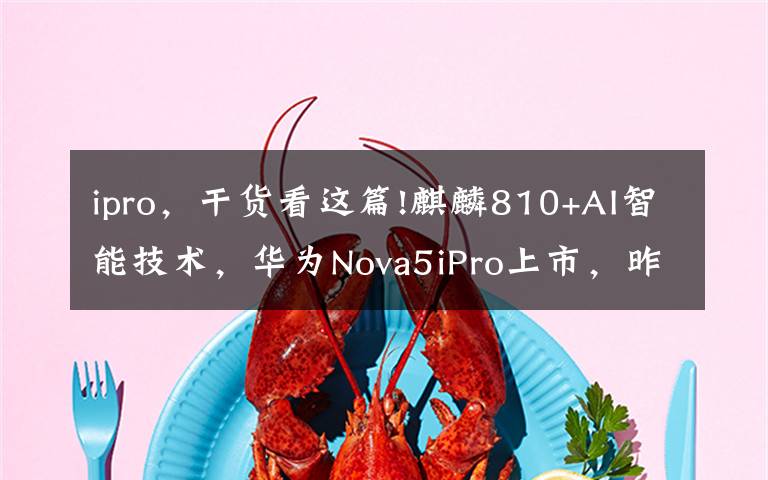 ipro，干貨看這篇!麒麟810+AI智能技術(shù)，華為Nova5iPro上市，昨日已開售