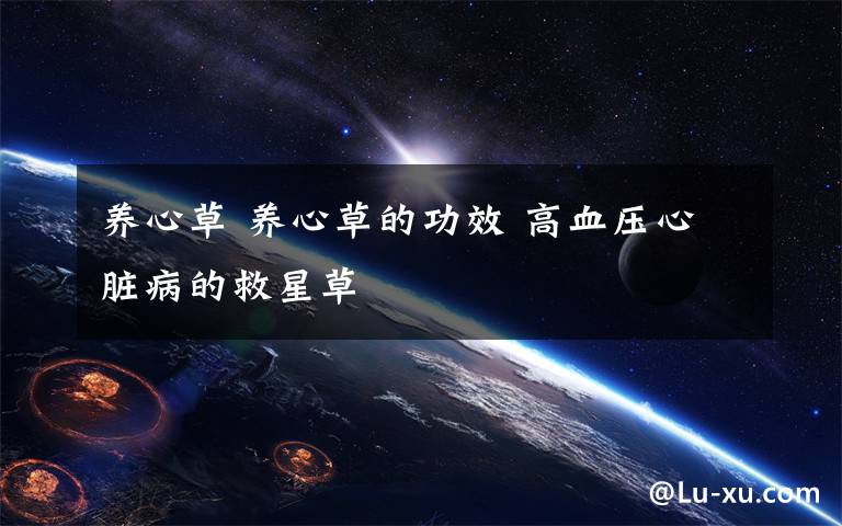 養(yǎng)心草 養(yǎng)心草的功效 高血壓心臟病的救星草