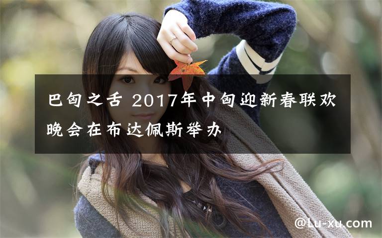 巴匈之舌 2017年中匈迎新春聯(lián)歡晚會在布達佩斯舉辦