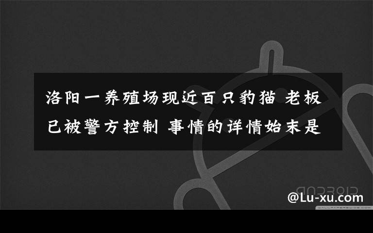 洛陽一養(yǎng)殖場現(xiàn)近百只豹貓 老板已被警方控制 事情的詳情始末是怎么樣了！