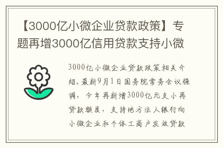 【3000億小微企業(yè)貸款政策】專題再增3000億信用貸款支持小微企業(yè)，政策來(lái)了您準(zhǔn)備好了嗎