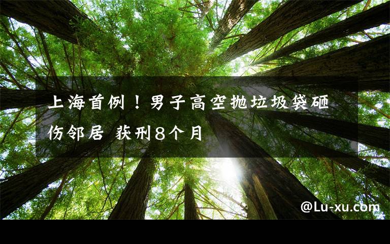 上海首例！男子高空拋垃圾袋砸傷鄰居 獲刑8個(gè)月