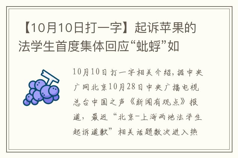 【10月10日打一字】起訴蘋果的法學生首度集體回應“蚍蜉”如何“撼大樹”？