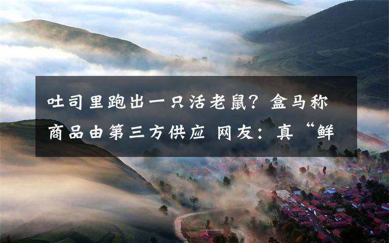 吐司里跑出一只活老鼠？盒馬稱商品由第三方供應(yīng) 網(wǎng)友：真“鮮生”