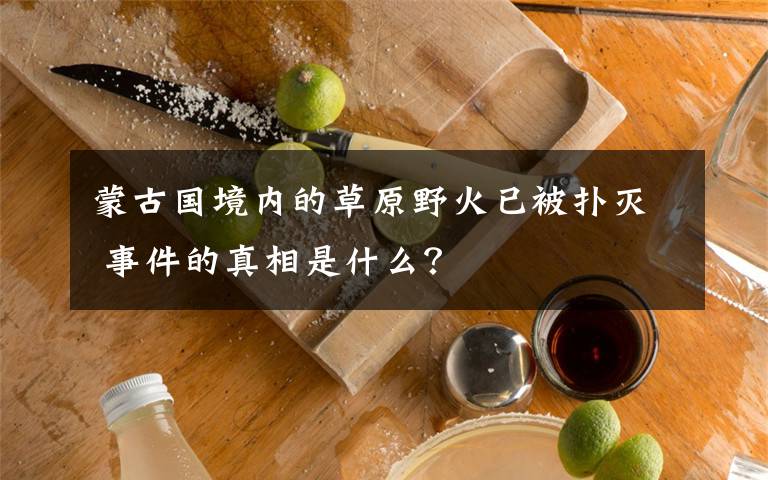 蒙古國境內(nèi)的草原野火已被撲滅 事件的真相是什么？