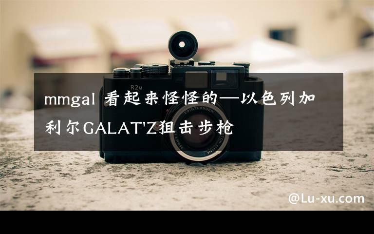 mmgal 看起來怪怪的—以色列加利爾GALAT'Z狙擊步槍