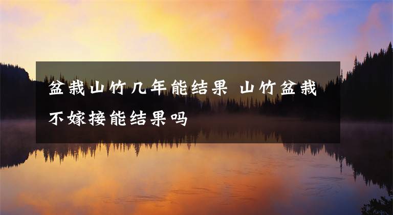 盆栽山竹幾年能結(jié)果 山竹盆栽不嫁接能結(jié)果嗎