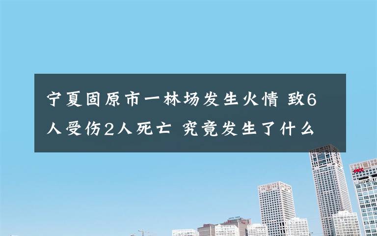 寧夏固原市一林場(chǎng)發(fā)生火情 致6人受傷2人死亡 究竟發(fā)生了什么?