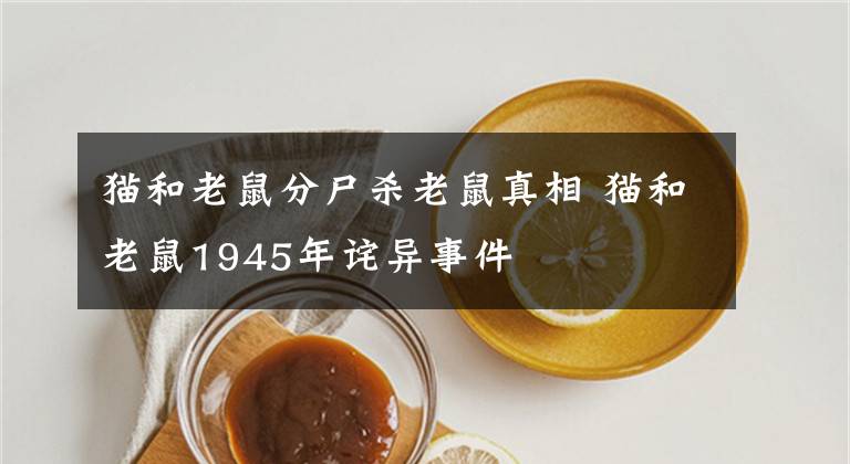 貓和老鼠分尸殺老鼠真相 貓和老鼠1945年詫異事件