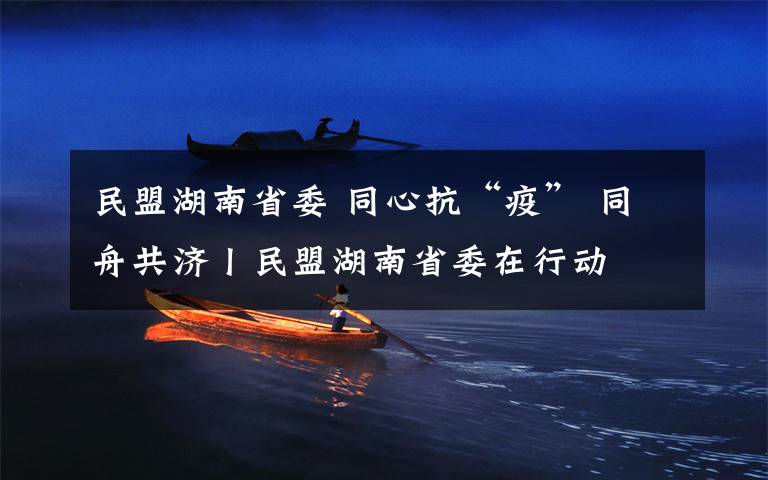 民盟湖南省委 同心抗“疫” 同舟共濟丨民盟湖南省委在行動