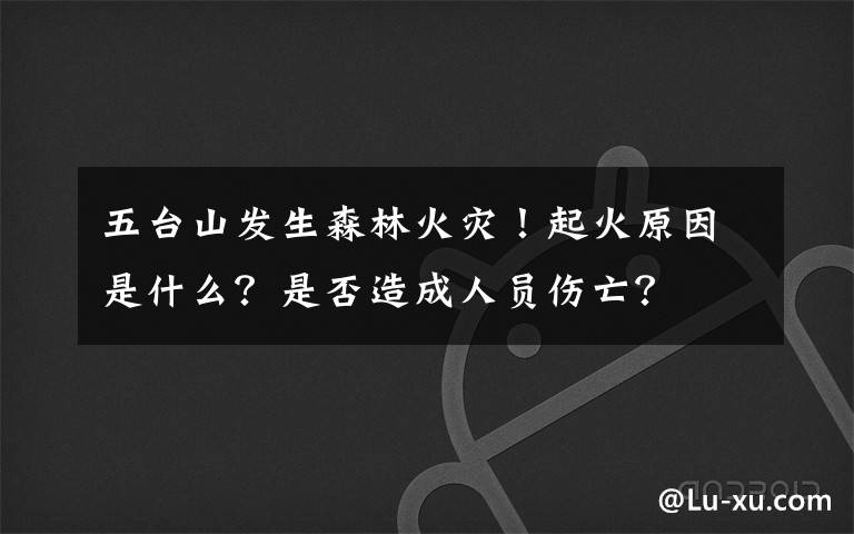 五臺(tái)山發(fā)生森林火災(zāi)！起火原因是什么？是否造成人員傷亡？