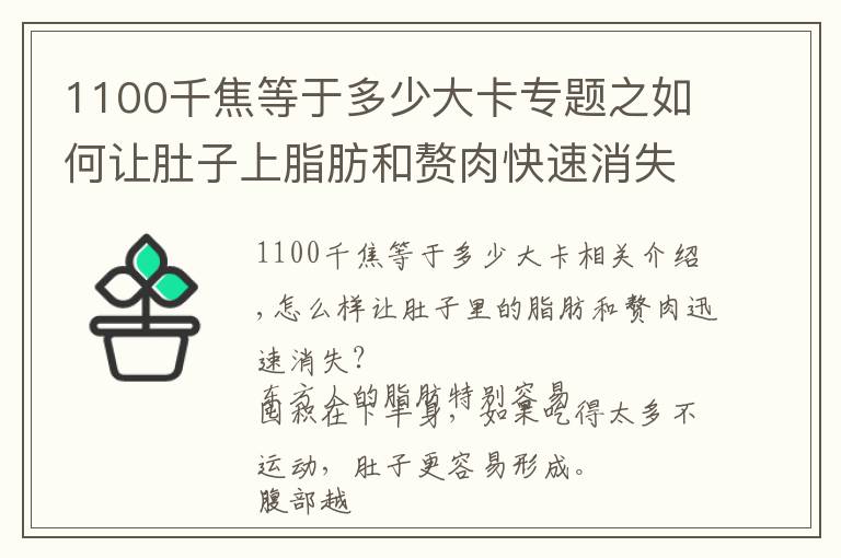 1100千焦等于多少大卡專題之如何讓肚子上脂肪和贅肉快速消失？