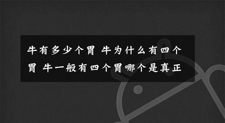 牛有多少個(gè)胃 牛為什么有四個(gè)胃 牛一般有四個(gè)胃哪個(gè)是真正的胃