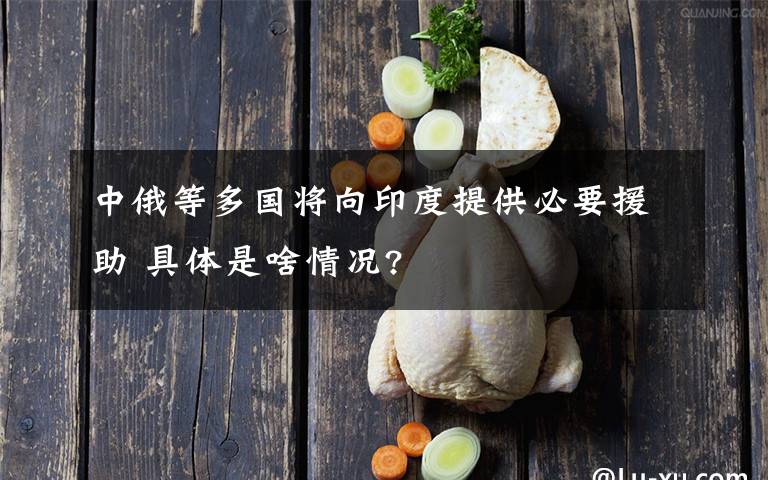 中俄等多國(guó)將向印度提供必要援助 具體是啥情況?