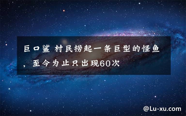 巨口鯊 村民撈起一條巨型的怪魚，至今為止只出現(xiàn)60次