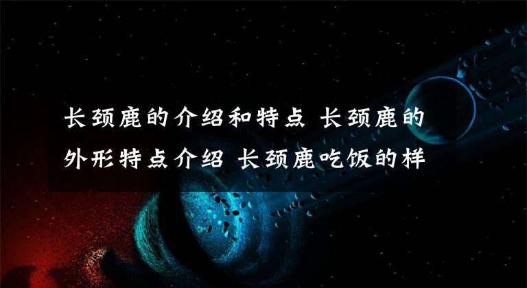 長頸鹿的介紹和特點(diǎn) 長頸鹿的外形特點(diǎn)介紹 長頸鹿吃飯的樣子